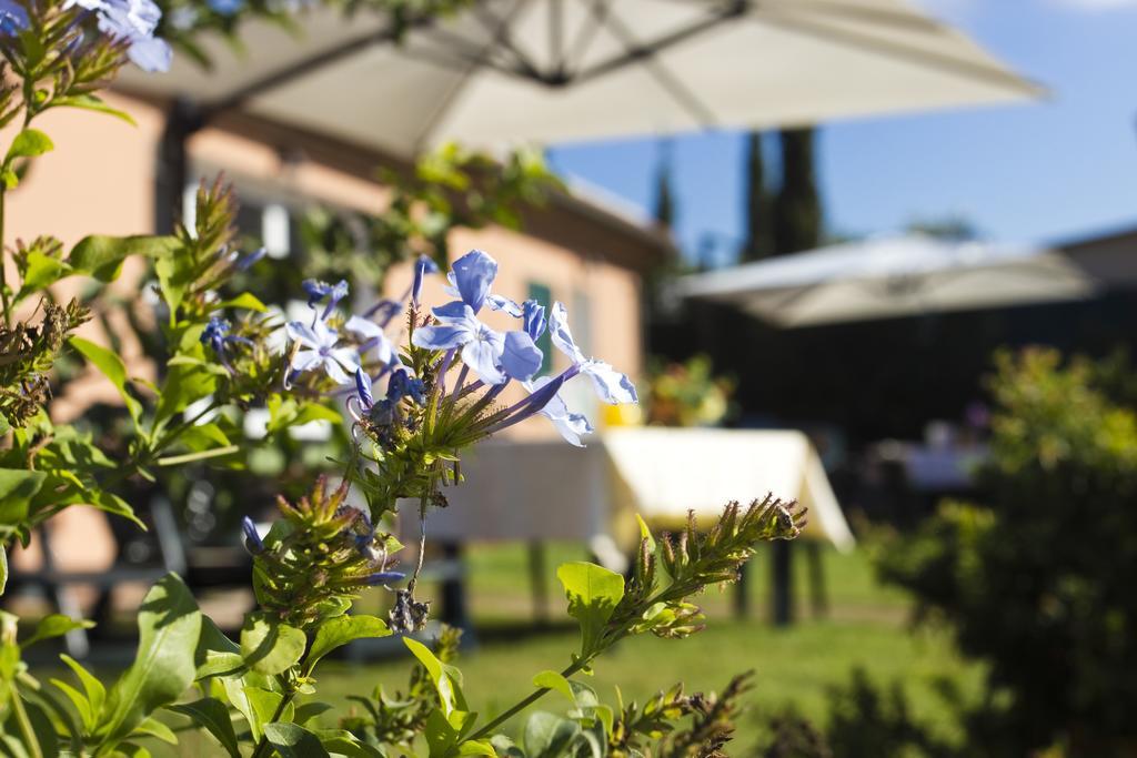 Agriturismo Ferruggini Bolgheri Luaran gambar