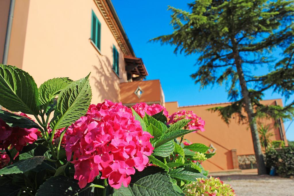 Agriturismo Ferruggini Bolgheri Luaran gambar